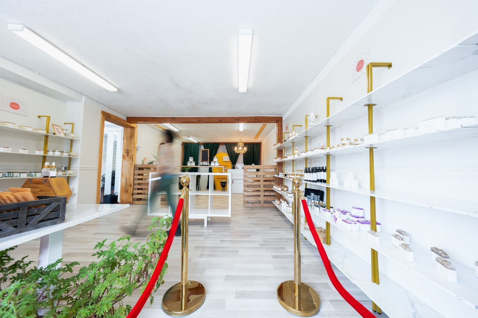 Biona-T : Un espace inspirant pour vos soirées de réseautage et événements personnalisés