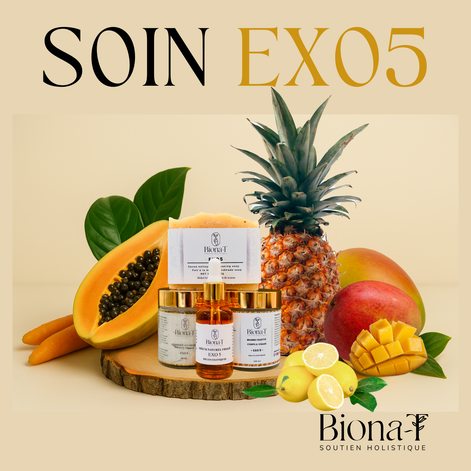 Le pouvoir des plantes : entre savoir ancestral et soins naturels