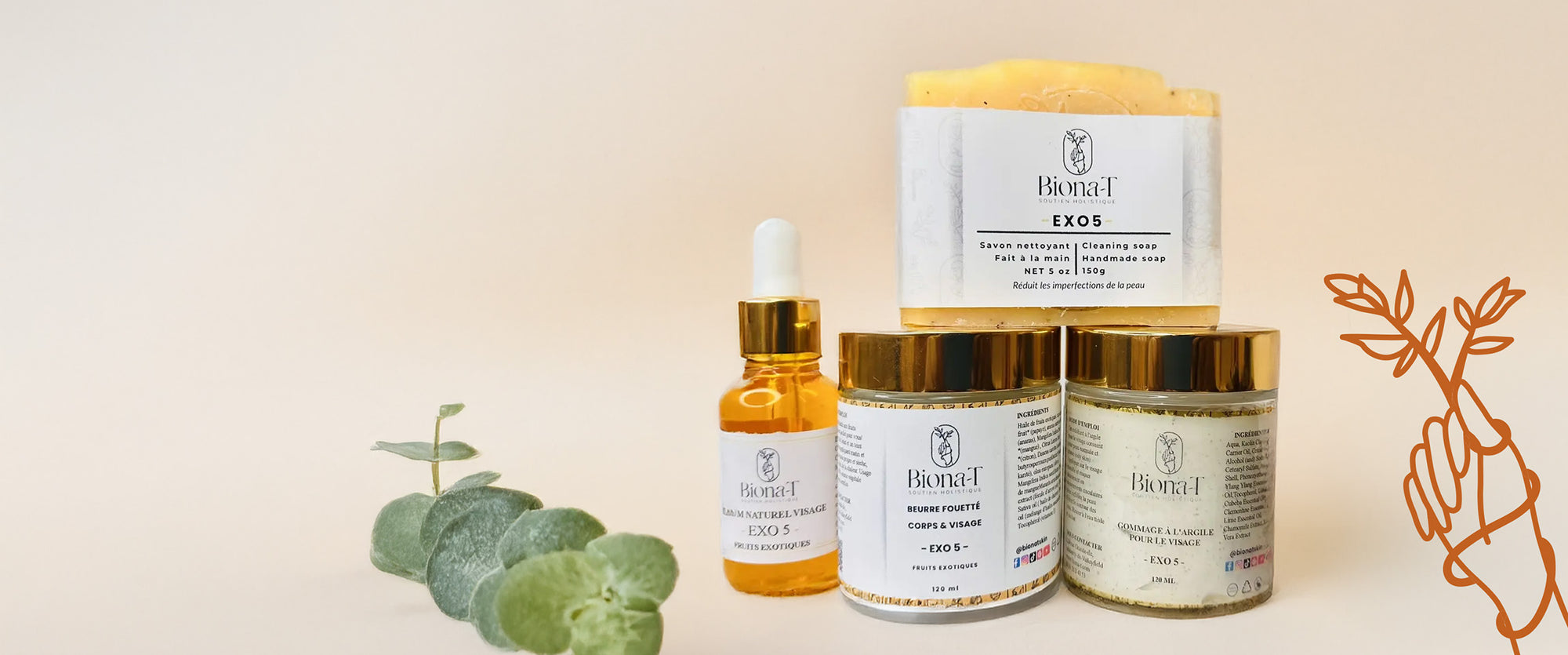 ensemble de crèmes et serums biona-t avec eucalyptus sur fond beige