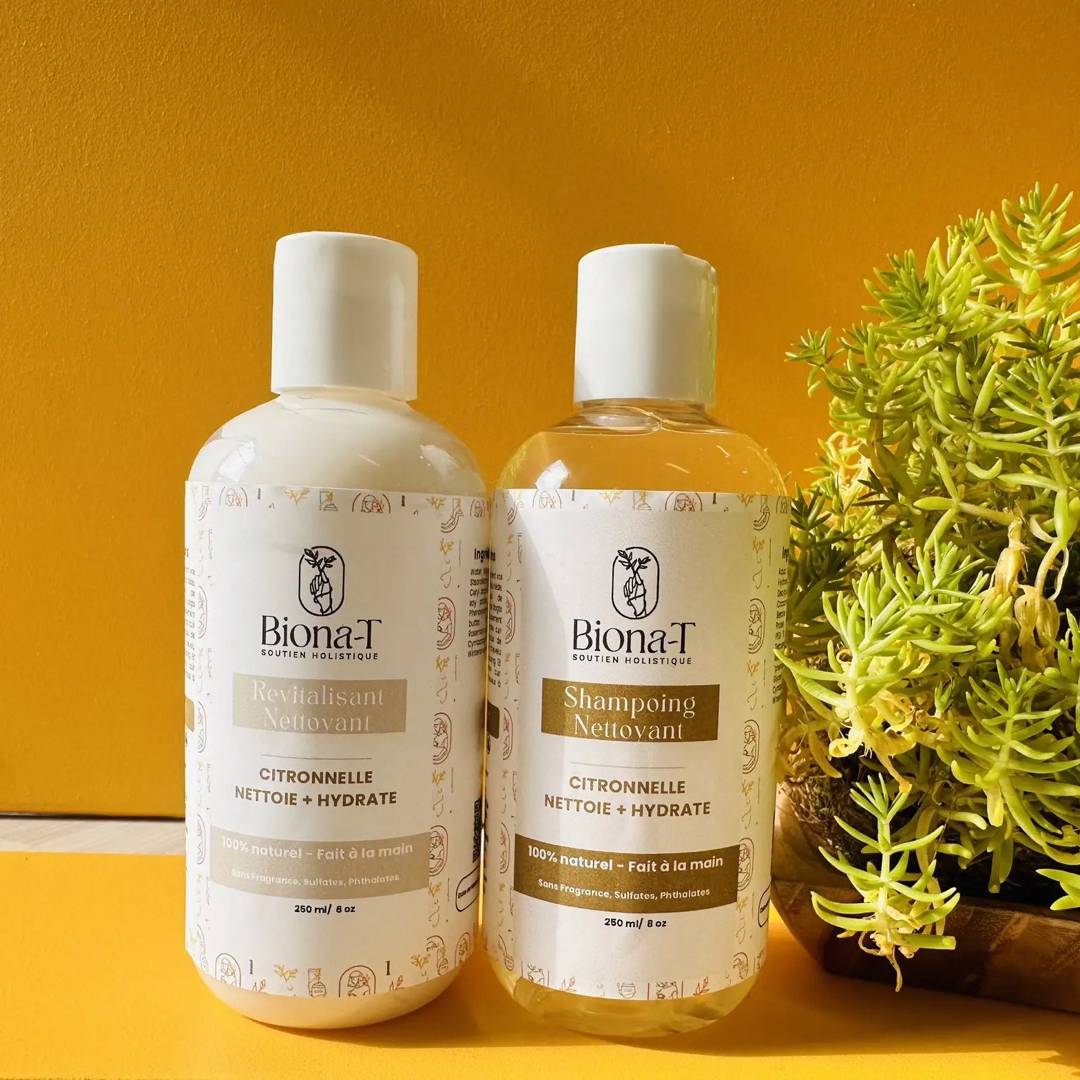 duo shampoing et revitalisant à la citronnelle de Biona-T