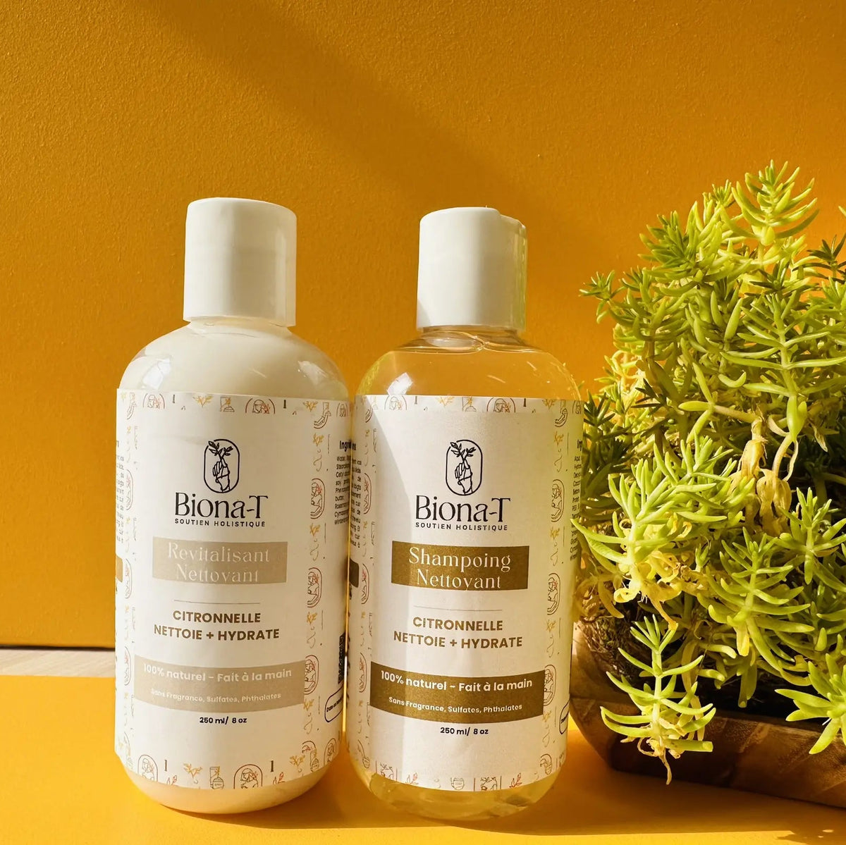 Bouteille de shampoo et révitalisant de Biona-T